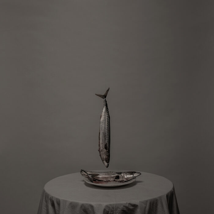 0326020d-c8b6-481c-b680-8ec778b97531_rw_1920